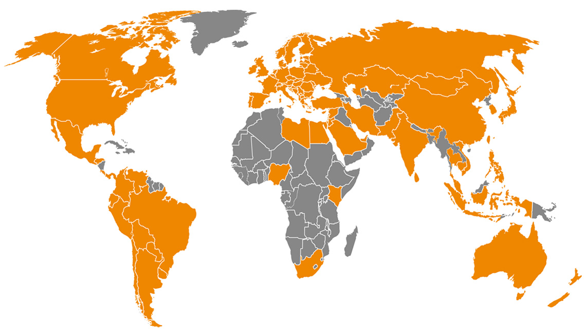 Goods are transported across the world thanks to our pallets