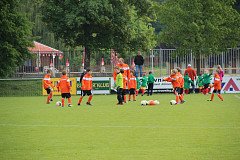 FK Nepomuk na turnaji FK Kohouti v Rokycanech v sobotu 25. 5. 2013.