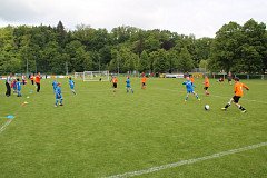 FK Nepomuk na turnaji FK Kohouti v Rokycanech v sobotu 25. 5. 2013.