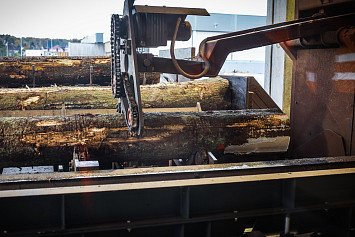 Návštěva českých nestátních vlastníků lesů ve Dvorci 23. 10. 2025