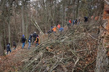 Dobrovolnická brigáda na Zelené Hoře 22. 11. 2025