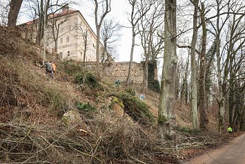 Dobrovolnická brigáda na Zelené Hoře 22. 11. 2025