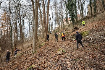 Dobrovolnická brigáda na Zelené Hoře 22. 11. 2025