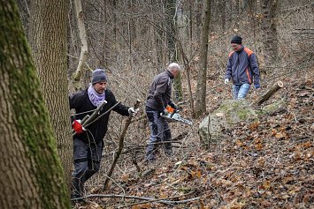 Dobrovolnická brigáda na Zelené Hoře 22. 11. 2025