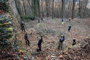 Dobrovolnická brigáda na Zelené Hoře 22. 11. 2025