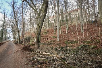 Dobrovolnická brigáda na Zelené Hoře 22. 11. 2025