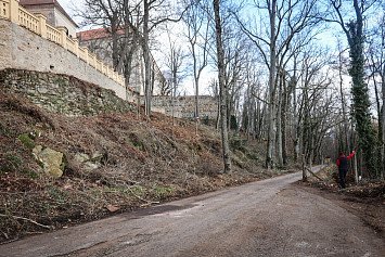 Dobrovolnická brigáda na Zelené Hoře 22. 11. 2025