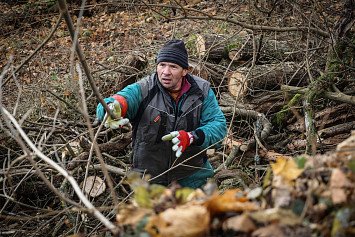 Dobrovolnická brigáda na Zelené Hoře 22. 11. 2025