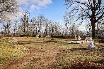 Dobrovolnická brigáda na Zelené Hoře 22. 11. 2025